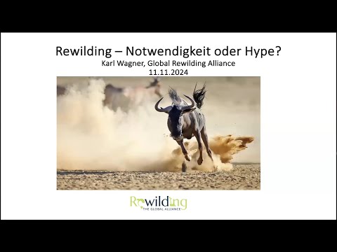 YouTube-Video-Thumbnail